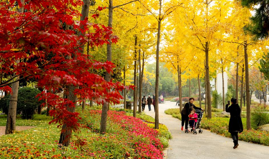 曲江秋天风景,曲江的秋色