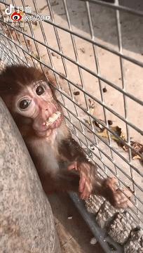 被铁链绑住，注射避孕药，连续伺候几百人后，她挣扎着死去……