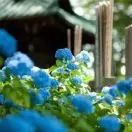 一堂拯救股民的公开课,拯救30万股民