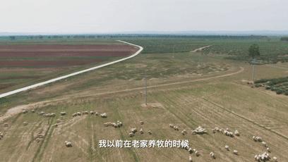 网约车司机送四个孩子,一个网约车司机带走三个女孩