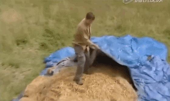 小神龙俱乐部里的艺术创想,童年小神龙俱乐部