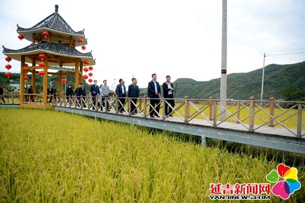 延边州许斌公示,领导考察农村人居环境整治工作