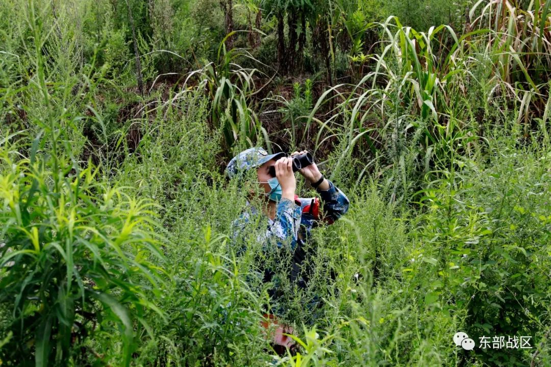 热点｜岸导团联手防化营，出击