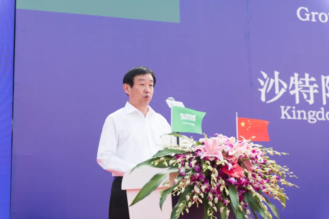 2019世博沙特馆,世博会沙特馆月亮船