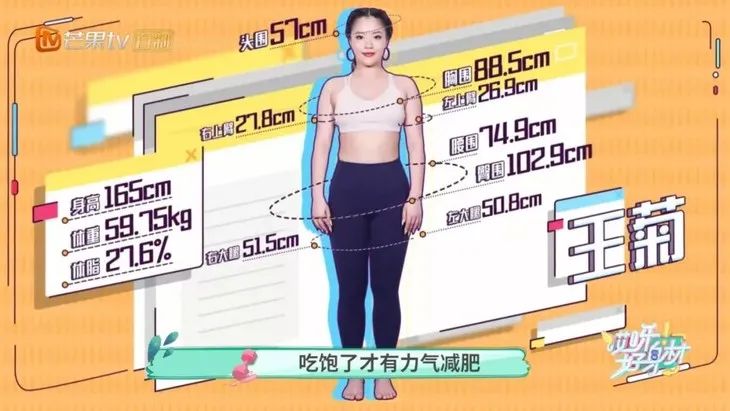 冷知识美人计,美人计的基础知识