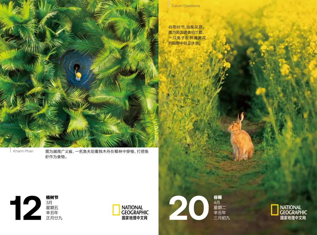 来，我们斗胆聊一下出国怎么玩