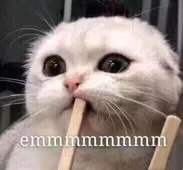 中秋节你们给父母送什么礼物,又到中秋节了给爸妈送点什么