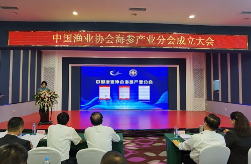 涓浗娓斾笟鍗忎細甯稿姟鐞嗕簨,涓浗娴峰弬鍗忎細浼氶暱