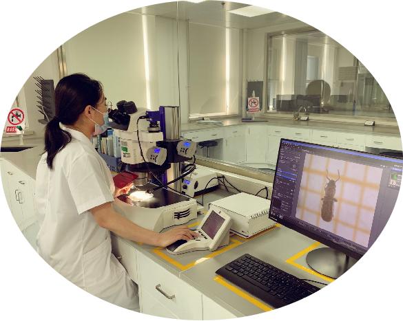 海关出口小知识,海关小知识大全集