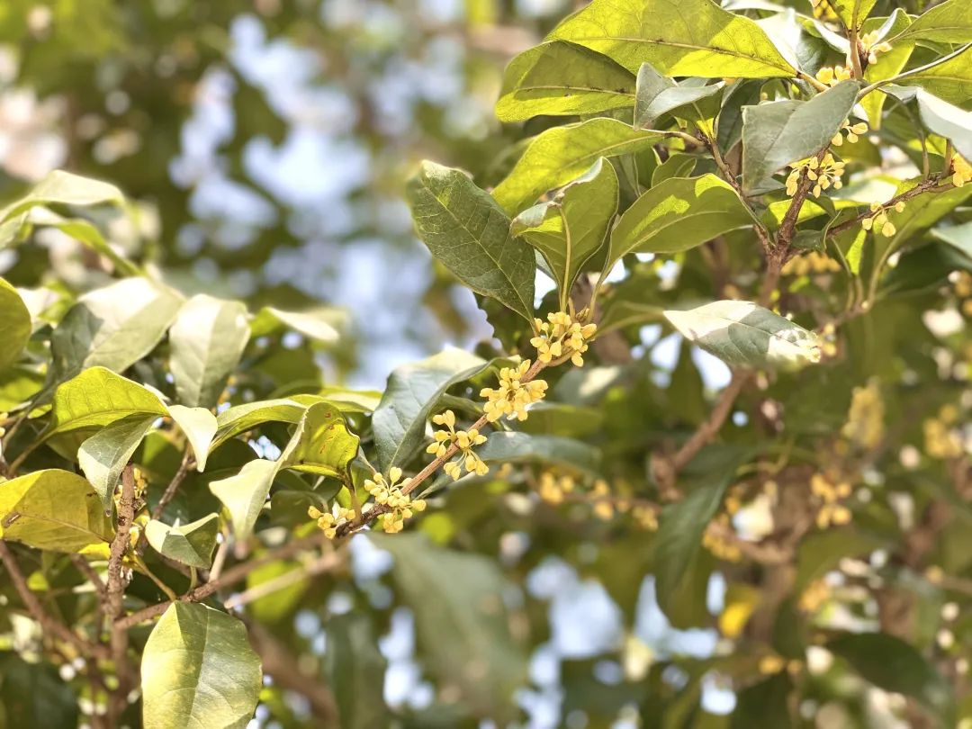 滨江多思创新学校,滨江学校全部排名