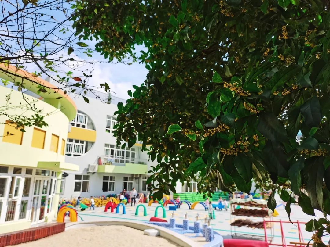 滨江多思创新学校,滨江学校全部排名