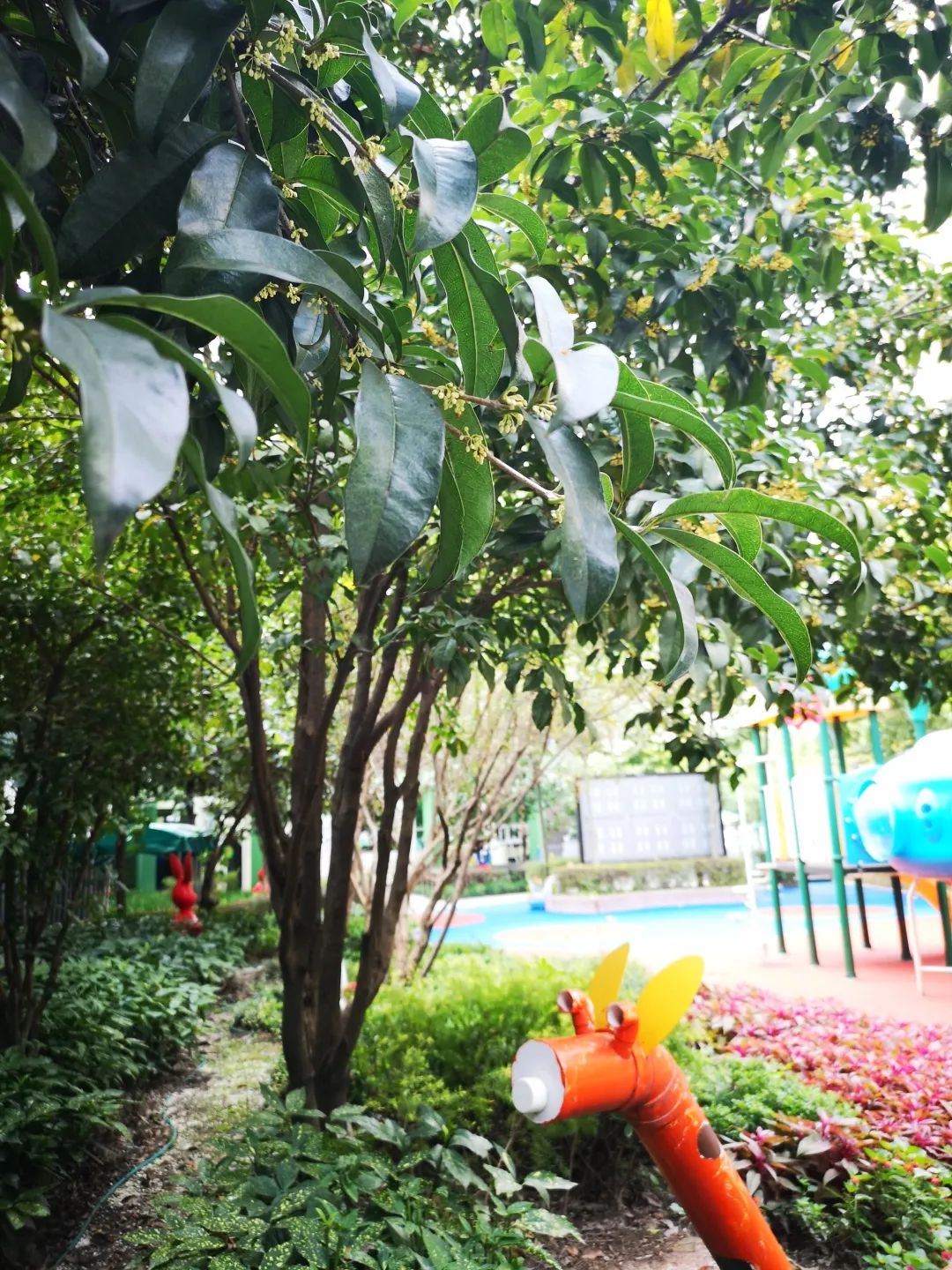 滨江多思创新学校,滨江学校全部排名