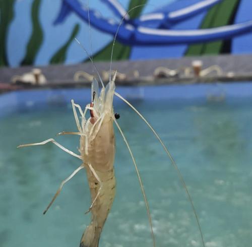 禅城有人约会吗,佛山禅城适合约女生玩的地方