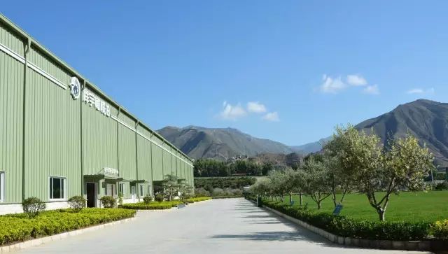 武都旅游景点大全,武都旅游线路