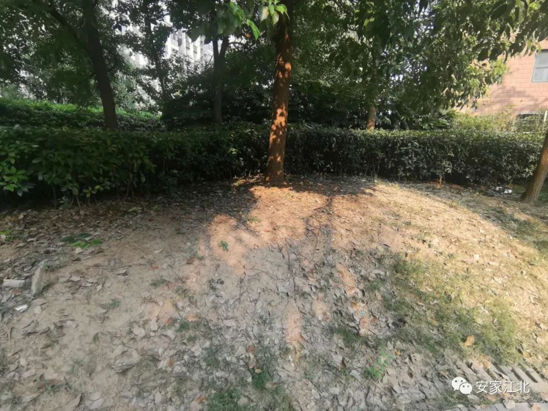 一墙之隔房价,一墙之隔价格相差几千一平怎么选