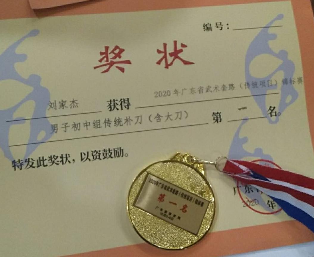 以拳会友完整版视频,以拳会友完整视频