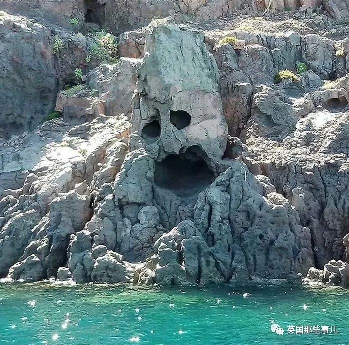 猫头鹰没有眼睛能说话吗,猫头鹰没眼皮