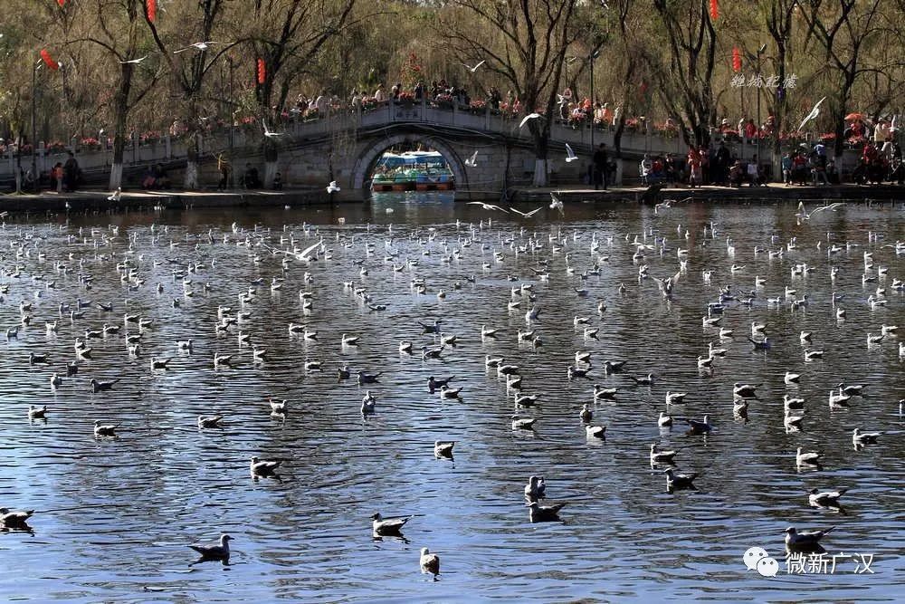 广汉有什么好吃又实惠,广汉有什么推荐的吃的