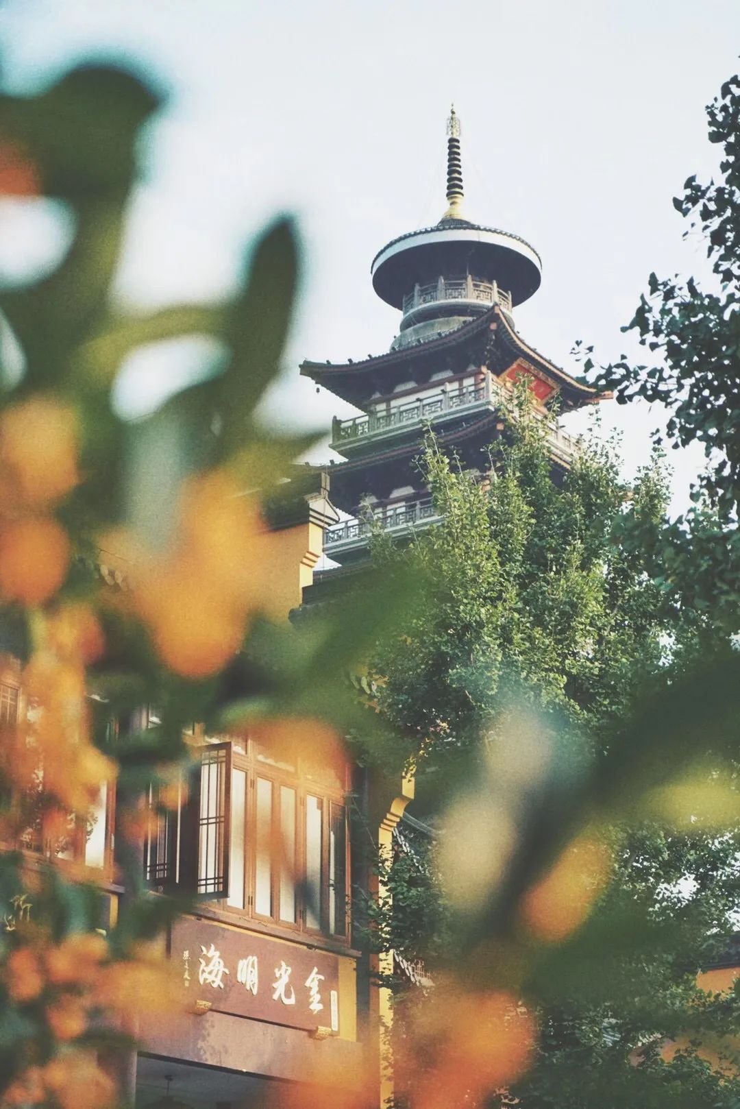 浙江有个湖州市吗,浙江是不是有一个地方叫湖州市