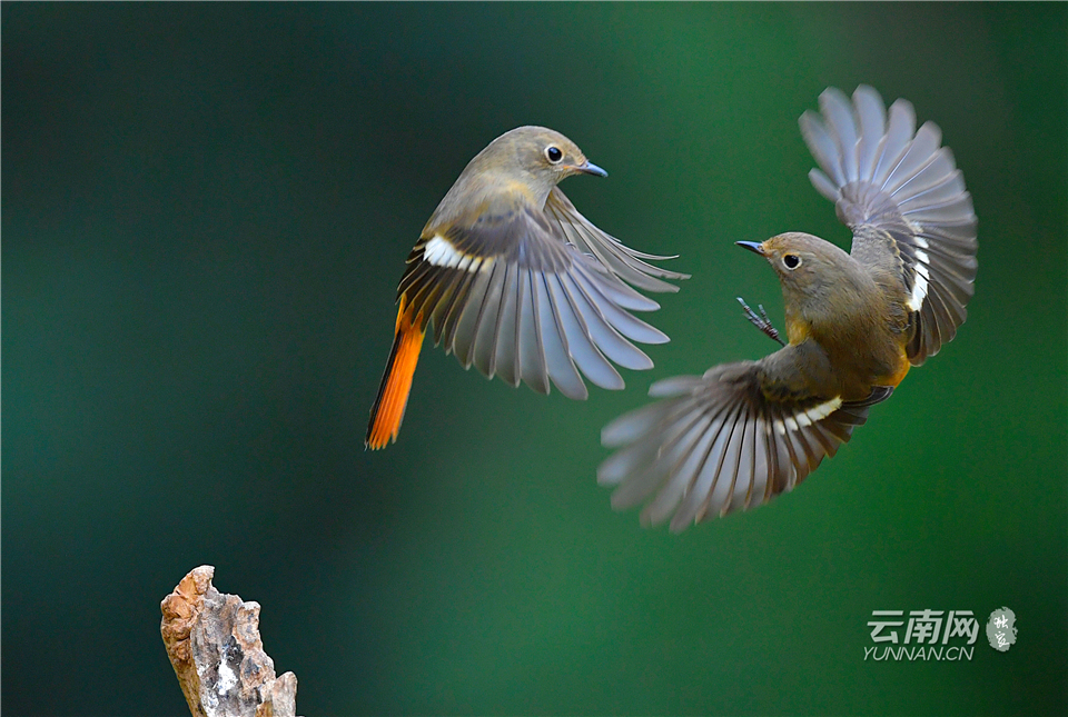 昆明金殿景色,云南昆明金殿公园绝美照片