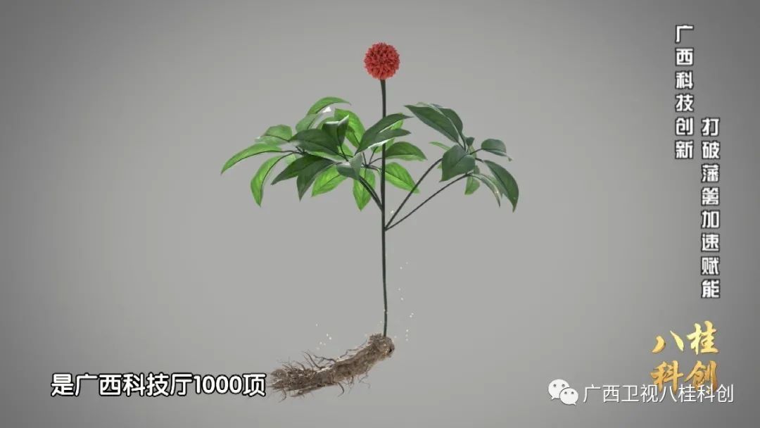 广西科技创新对高质量发展的支撑,科技创新的力量视频