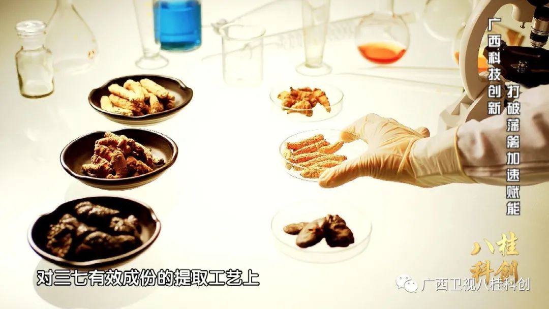 广西科技创新对高质量发展的支撑,科技创新的力量视频