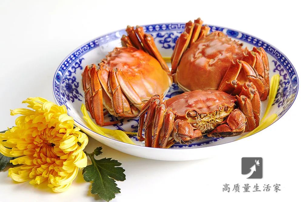 活螃蟹放冰箱冷冻40小时还能吃吗,活螃蟹直接放冰箱保鲜可以放几天