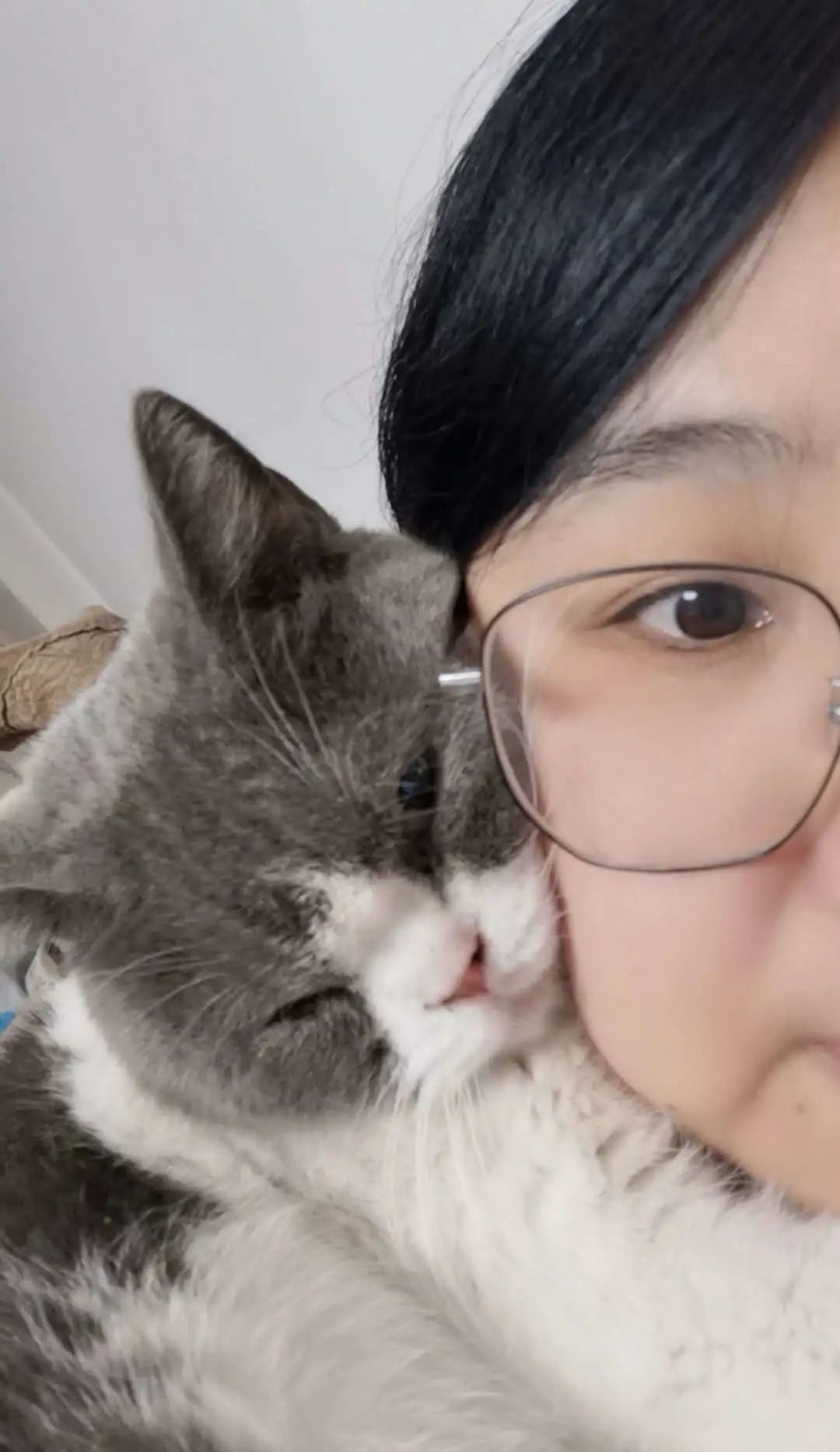 “似乎它从来都没有真正离开过”：和宠物告别的25个时刻