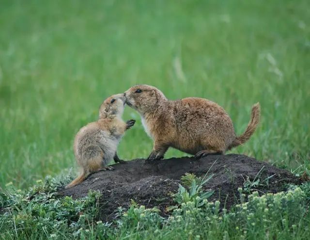 2014国家地理摄影大赛获奖,国家地理杂志摄影大赛获奖作品