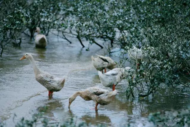 蓝睛生活圈正式上线啦，特惠商品等您来抢
