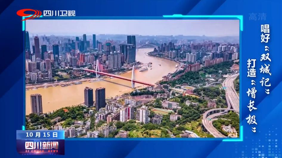 四川新闻|董煜：“4+2+n”区域发展大格局里成渝是啥