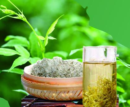 万人推介张家界莓茶活动,绿水青山中国行之张家界莓茶