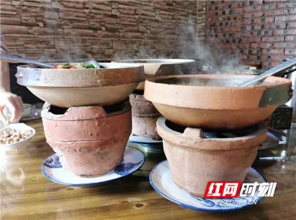 素素吃点啥,素素这周吃了啥