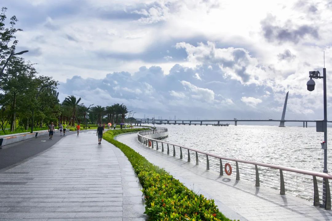 深圳是一个什么样的城市形容词,深圳一座来了就不想走的城市