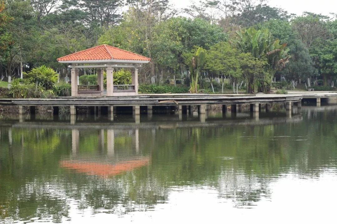 东莞周末带小孩哪里有好玩的地方,东莞又有什么好玩的