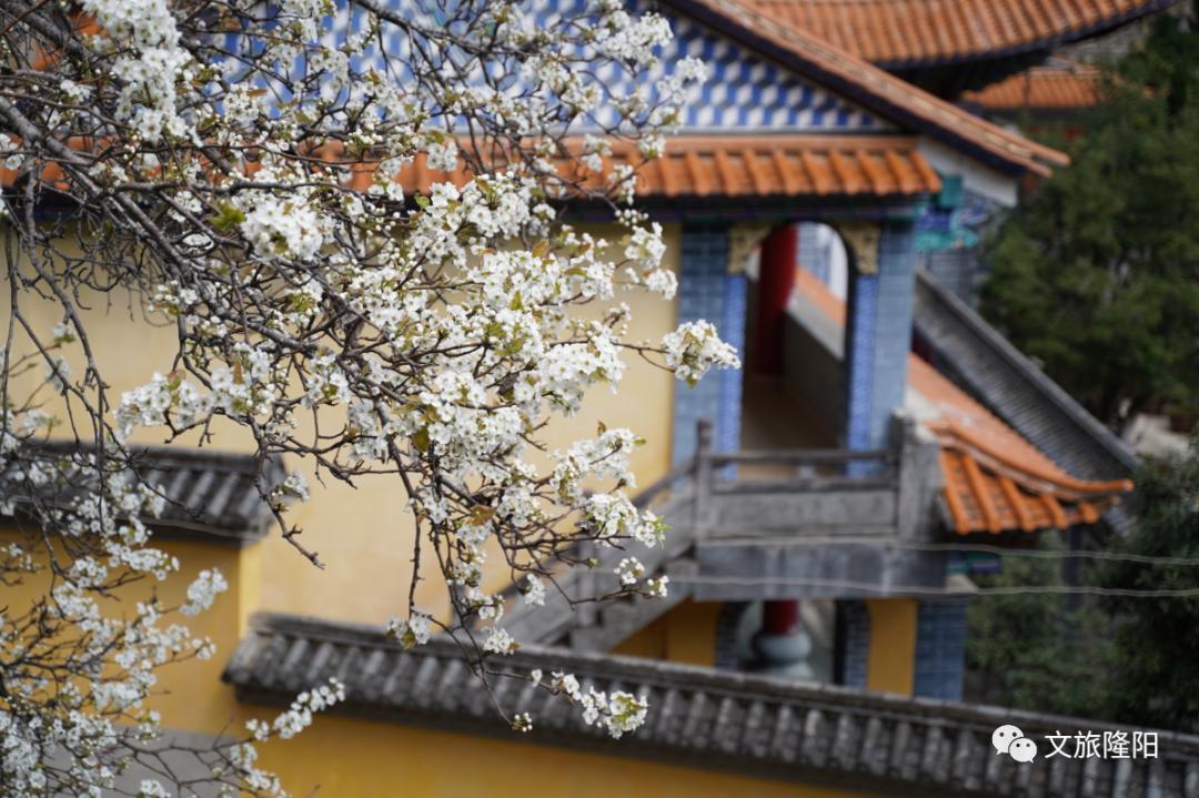 微游巫山,微游游