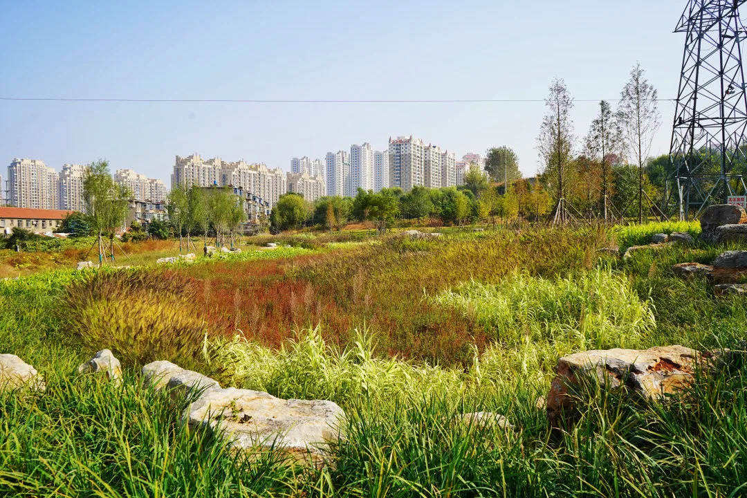 描绘乡村美丽新画卷,描绘中国美丽新画卷