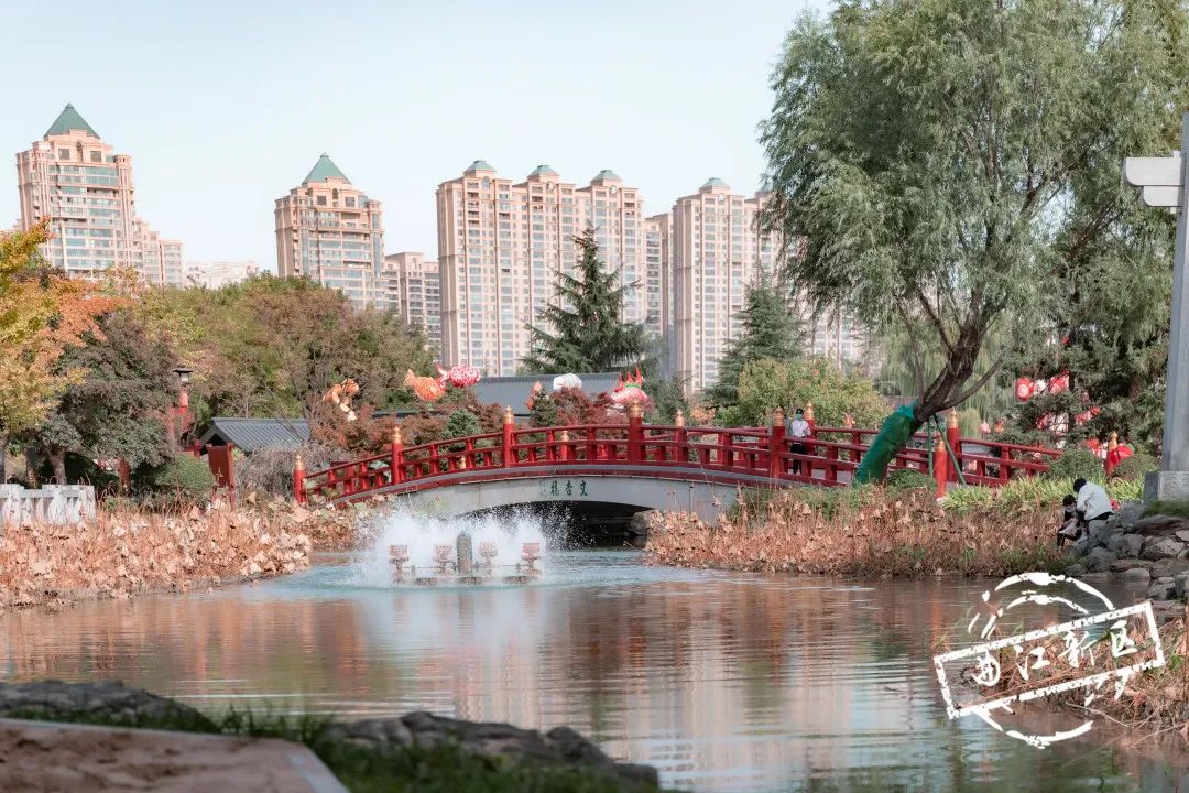 曲江秋天风景,曲江的秋色