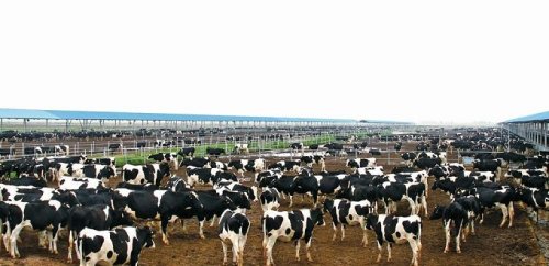 白城市脱贫攻坚,白城奋力拼搏