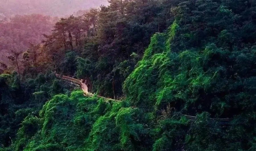 爬厦门仙灵棋山看日出,厦门周边登高望远的地方