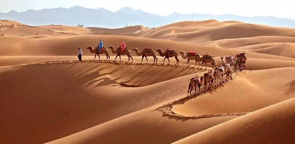 宁夏适合3-4月份旅游,宁夏的秋天