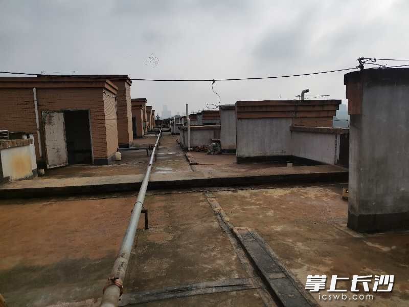 楼顶农场免费承包,楼顶微型农场设计