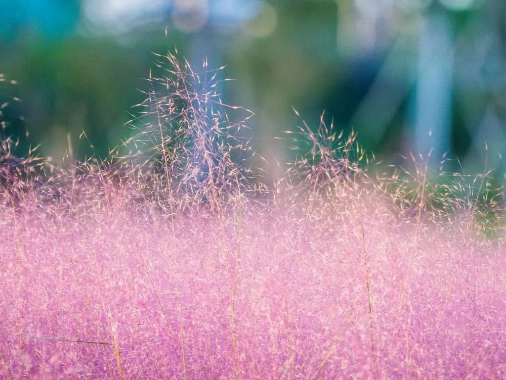 盐城发色,盐城代表颜色