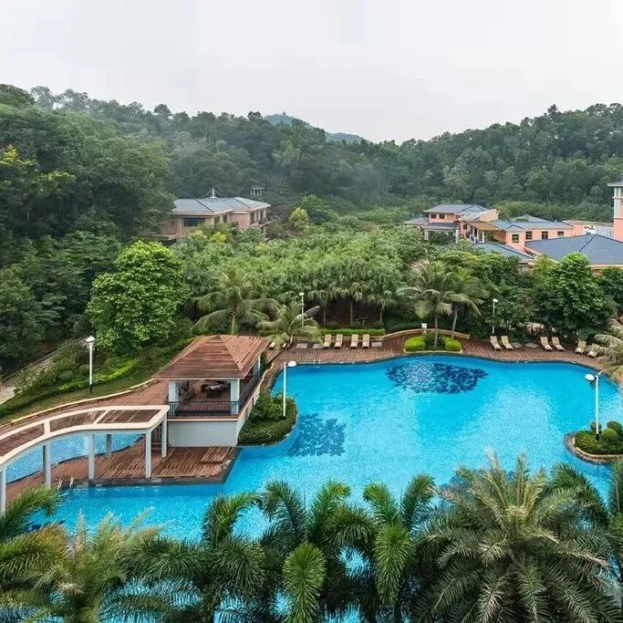 “双十一”提前了!本周末,东莞这里有文旅体大聚会!