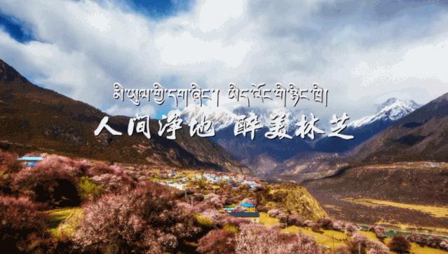 “双十一”提前了!本周末,东莞这里有文旅体大聚会!