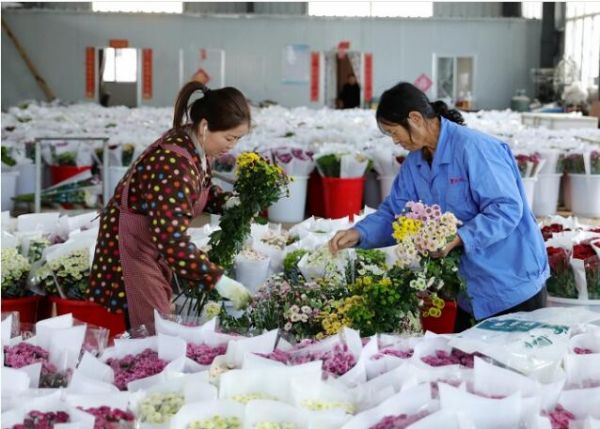 宿迁农业产业特色发展,宿迁农业产业发展规划