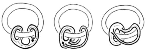 拓扑科普,浅谈拓扑学