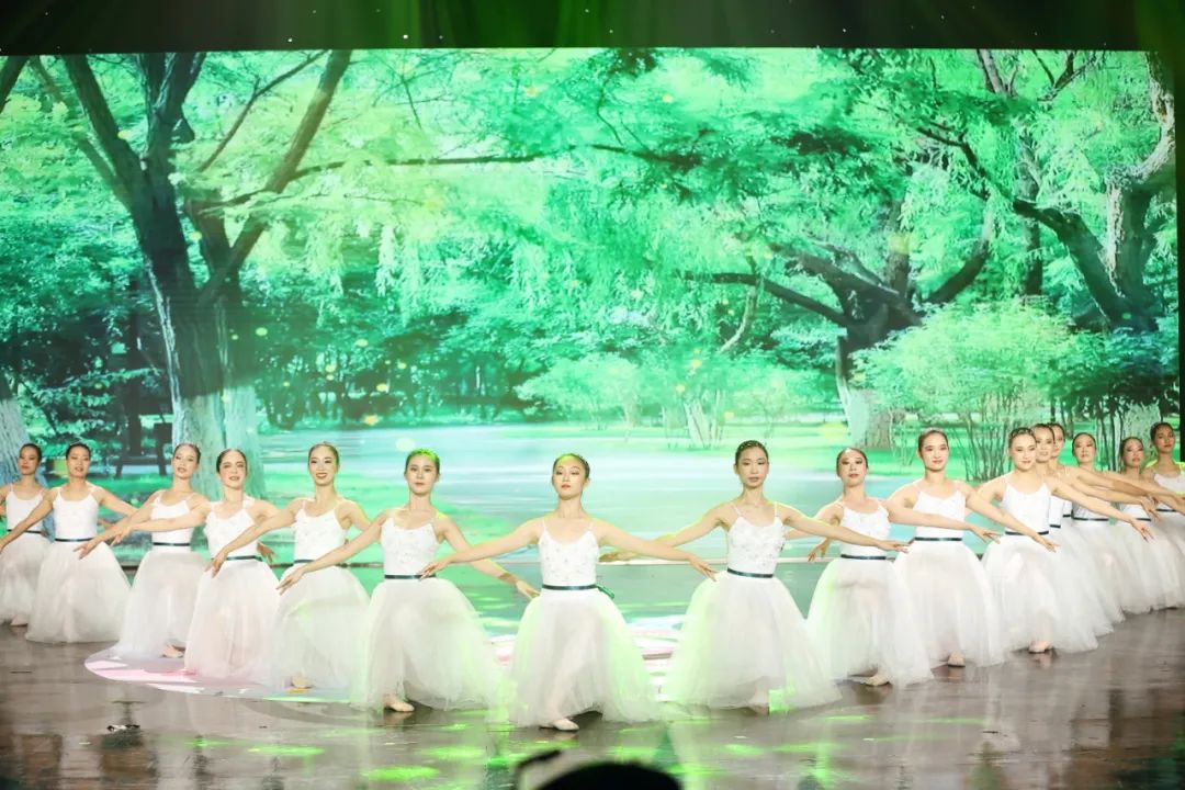 第十届广场舞大赛总决赛圆满成功,2018全国广场舞集中展演