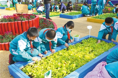 北京愿景集团：枣园小区补短板焕新颜，惠及三千余户