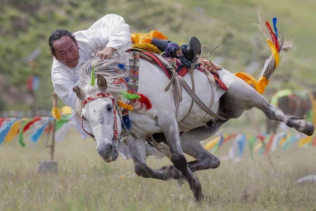 玉树十周年纪念,玉树十年